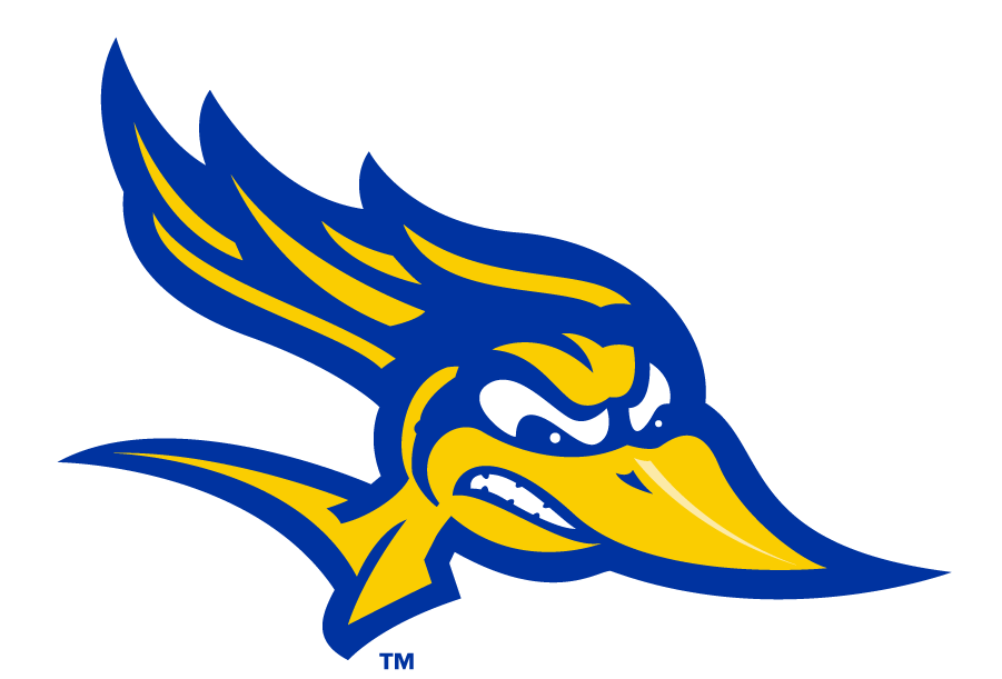 CSU Bakersfield Roadrunners 2017-2019 Primary Logo iron on transfers for T-shirts